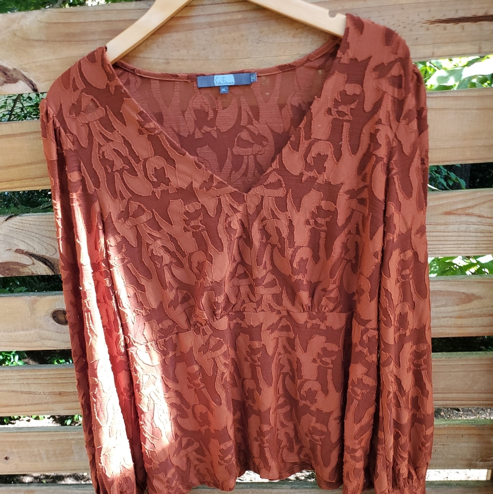 Eva Franco for Anthropologie Burnout Velvet top LIKE NEW!